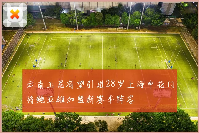 云南玉昆有望引进28岁上海申花门将鲍亚雄加盟新赛季阵容